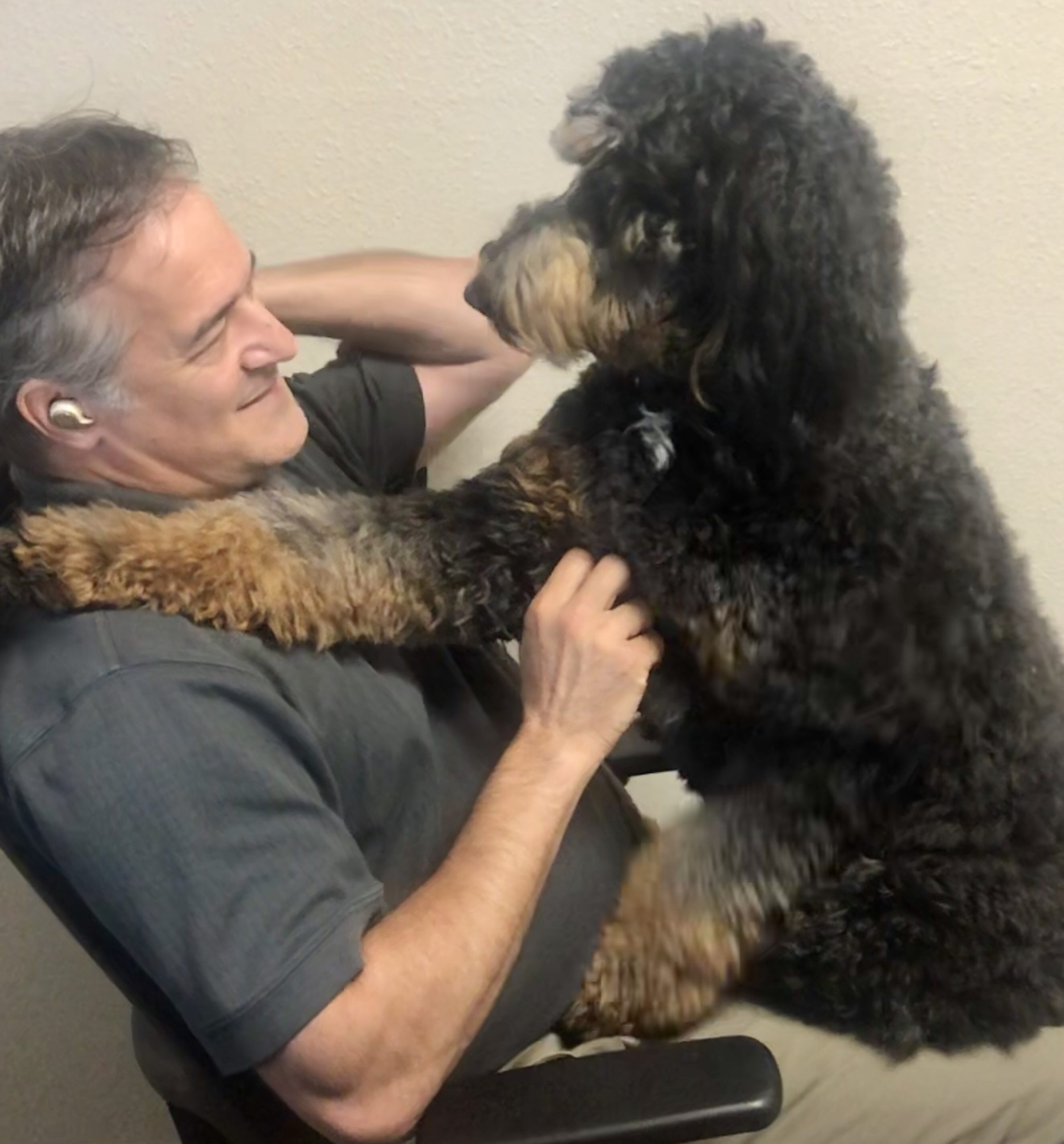 Especially in the first season, tony is constantly ducking out of class and other events to go to the bathroom, to the point where happy starts commenting occasionally on his apparent digestive troubles. Happy National Rescue Dog Day Meme . National Rescue Dog Day - Homes Of Hernando